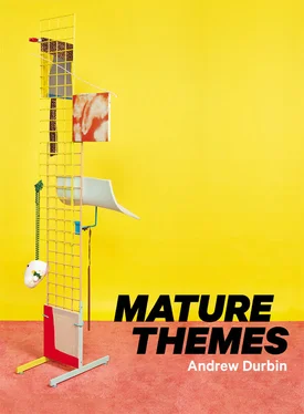 Andrew Durbin Mature Themes обложка книги