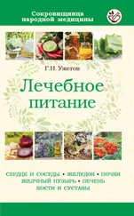 Генрих Ужегов - Лечебное питание при различных заболеваниях