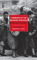 Miron Bialoszewski - A Memoir of the Warsaw Uprising