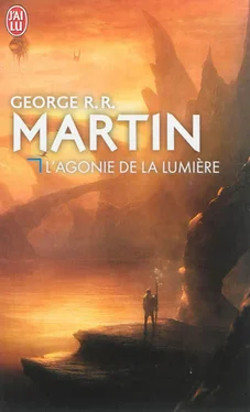 George Martin L'agonie de la lumière обложка книги