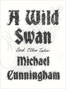 Michael Cunningham A Wild Swan: And Other Tales обложка книги