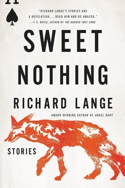 Richard Lange Sweet Nothing обложка книги