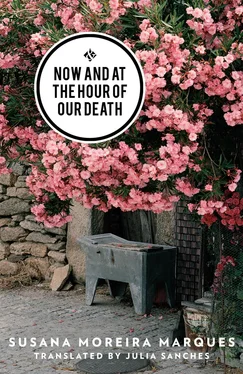 Susana Moreira Marques Now and at the Hour of Our Death обложка книги