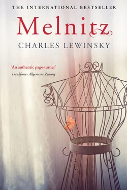 Charles Lewinsky Melnitz обложка книги