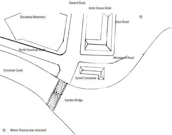 The Astor House Hotel and environs They started tailing the other car It was - фото 53