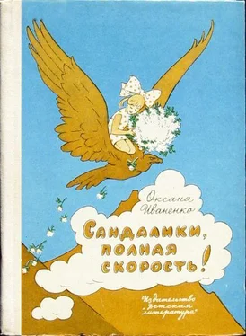 Оксана Иваненко Сандалики, полная скорость! обложка книги