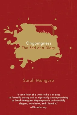 Sarah Manguso Ongoingness: The End of a Diary обложка книги