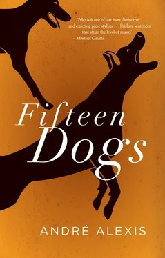 André Alexis Fifteen Dogs обложка книги