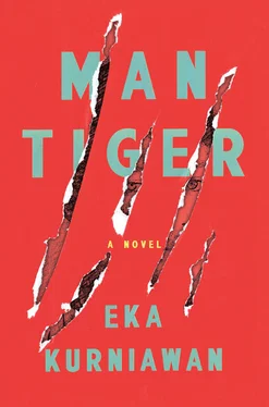 Eka Kurniawan Man Tiger обложка книги