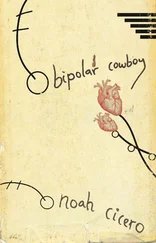 Noah Cicero - Bipolar Cowboy