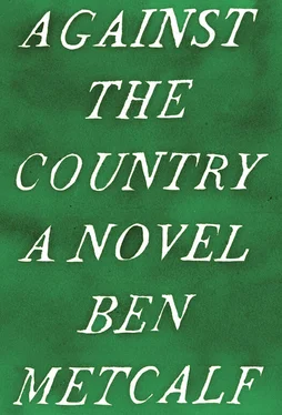 Ben Metcalf Against the Country обложка книги