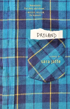 Sara Jaffe Dryland обложка книги