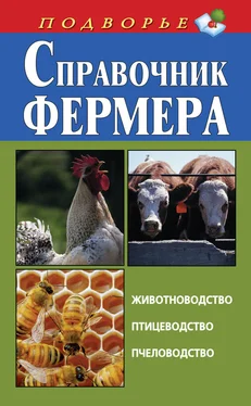 Игорь Скрипник Справочник фермера. Животноводство, птицеводство, пчеловодство обложка книги