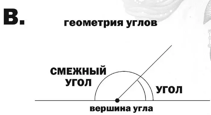 Рис 12b Геометрия углов Из школьного курса геометрии вам известно что - фото 27
