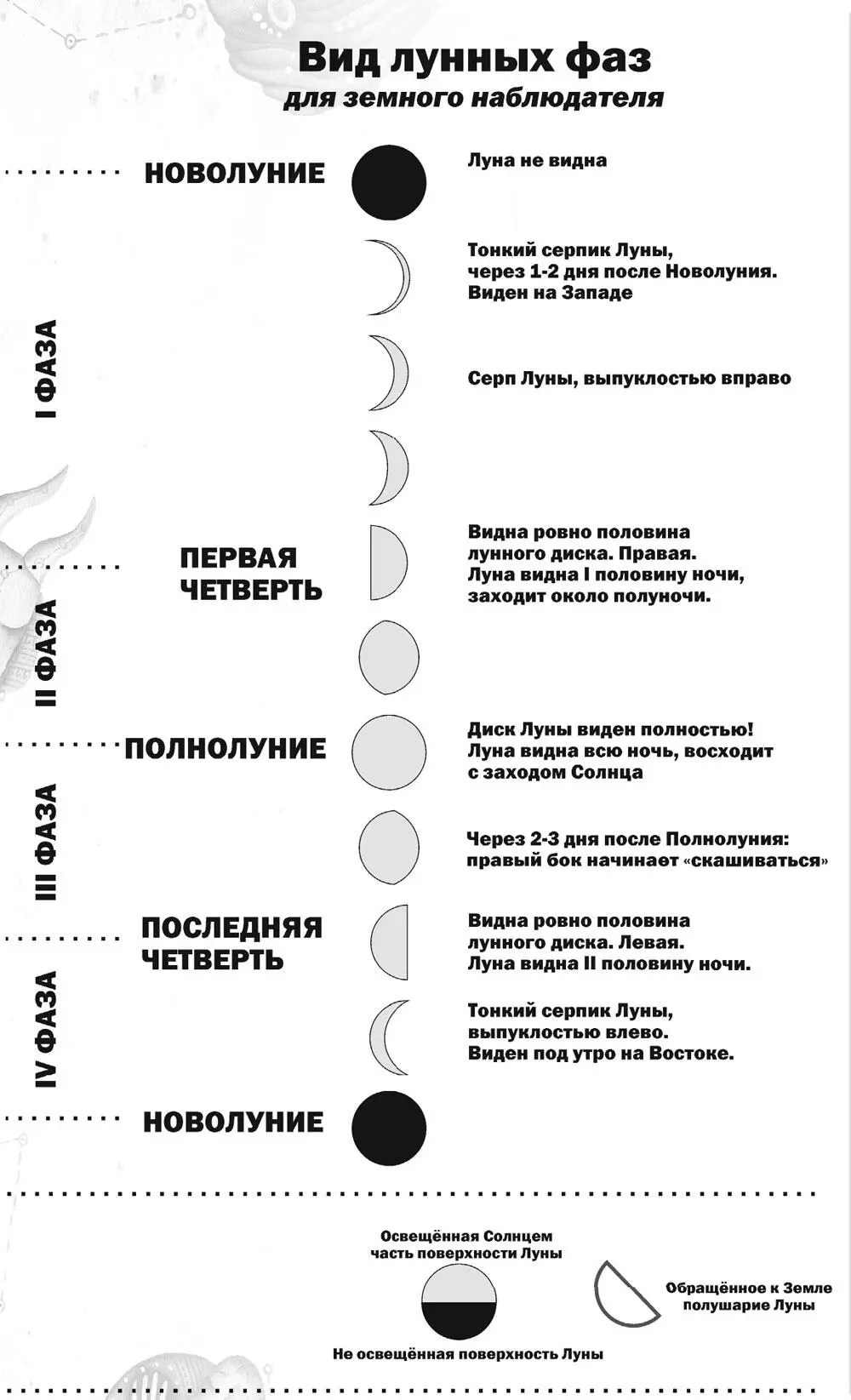 Рис 13 Вид и порядок смены лунных фаз Рис 14 Обусловленность пола - фото 29
