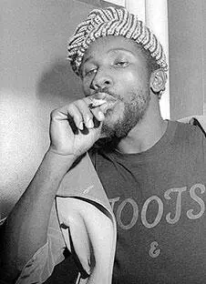 Toots The Maytals Честно говоря ямайские власти эту музыку не любили она - фото 543