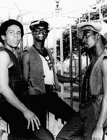 The Wailers LP Specials 1979 Эффект ямайского ска налицо и Specials были - фото 551