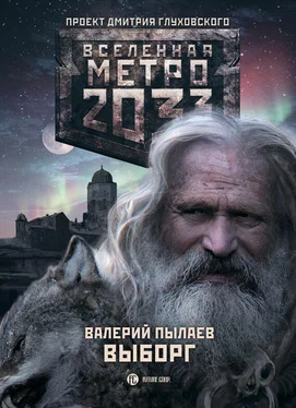 Валерий Пылаев Метро 2033. Выборг обложка книги