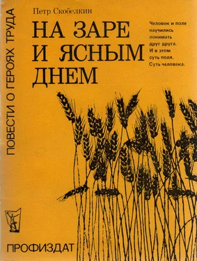 Петр Скобелкин На заре и ясным днем обложка книги