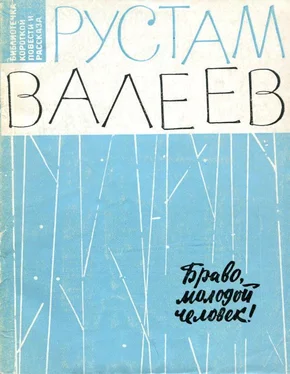 Рустам Валеев Браво, молодой человек! обложка книги