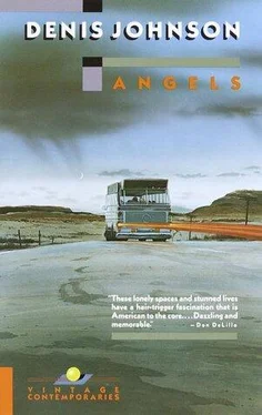 Denis Johnson Angels обложка книги