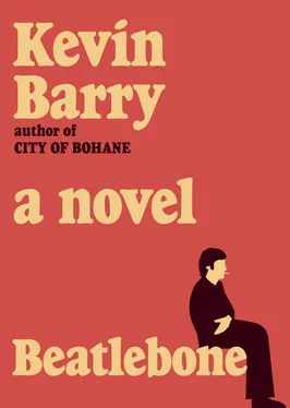 Kevin Barry Beatlebone обложка книги