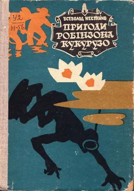 Всеволод Нестайко Надзвичайні пригоди Робінзона Кукурузо обложка книги