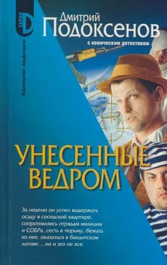 Дмитрий Подоксёнов Унесённые ведром обложка книги
