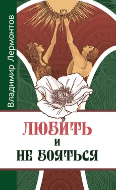 Владимир Лермонтов Любить и не бояться обложка книги