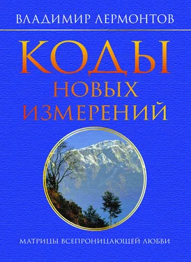 Владимир Лермонтов Коды новых измерений. Матрицы Всепроницающей Любви обложка книги