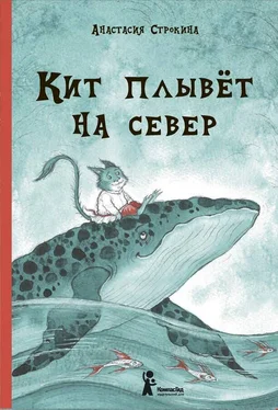 Анастасия Строкина Кит плывет на север обложка книги