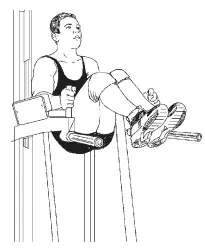 Рис 110 Подъем ног или коленей Рис 111 Пресс на римском стуле Рис - фото 143