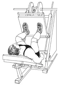Рис 114 Жим ногами Жим ногамирис 114 Эмфаза Существует много общего - фото 147