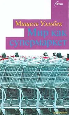 Мишель Уэльбек Мир как супермаркет обложка книги