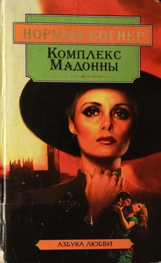 Норман Богнер Комплекс Мадонны обложка книги