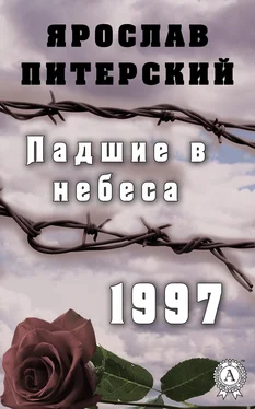 Ярослав Питерский Падшие в небеса. 1997 обложка книги