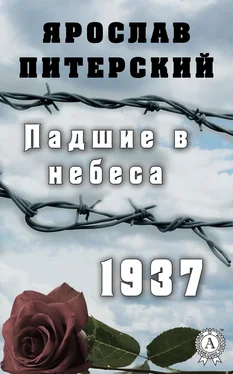 Ярослав Питерский Падшие в небеса.1937 обложка книги