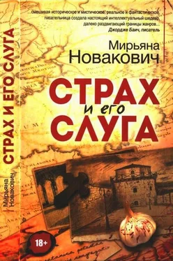 Мирьяна Новакович Страх и его слуга обложка книги