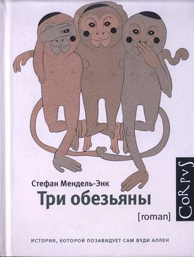 Стефан Мендель-энк Три обезьяны обложка книги