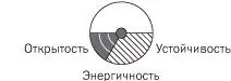 Открытостьпри новом начинании важно особенно внимательно отслеживать изменения - фото 11