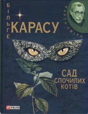 Більґе Карасу Сад спочилих котів обложка книги