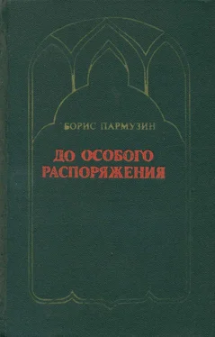 Борис Пармузин До особого распоряжения обложка книги