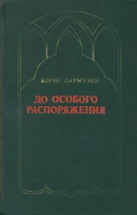 Борис Пармузин - До особого распоряжения