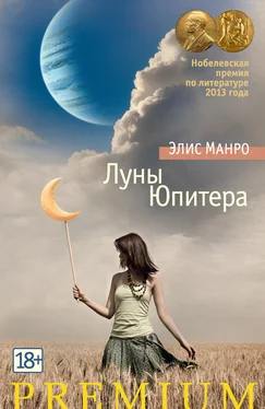 Элис Манро Луны Юпитера (сборник) обложка книги