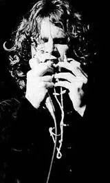 Джим Моррисон В самом начале этого путешествия я заметил что история Джима - фото 119