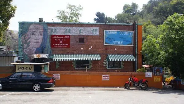 Сельский магазин Лорел каньона где у Криса Хиллмана произошла случайная - фото 130