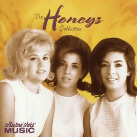 Вокальная группа Хани Брайан Уилсон и Мэрилин Ровелл Осенью 1964 года Брайан - фото 232