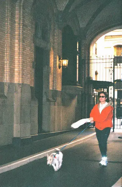 Дверь грузового лифта Вещественное доказательство B Схема официальной версии - фото 268