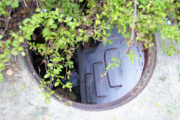 Бывший вход в комплекс туннелей Чем дальше заходишь тем более дикими - фото 105