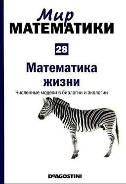 Рафаэль Лаос-Бельтра Том 28. Математика жизни. Численные модели в биологии и экологии. обложка книги